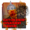election denier derangement syndrome
