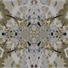 114867 mirror5