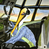 Pelican pilot