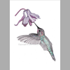 Hummingbird and Columbine Ink Pointillism