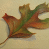 Touch of Fall