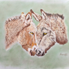 Donkey Pals