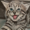 Cathy the happy cat