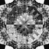 1915960907 mirror32