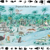 TropicalRainForest