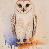 Watercolor Paintings