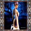 The Enchanted Warrior V.2