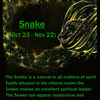 Native American Zodiac Sign, (Snake)