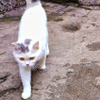 walking to me