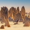 Sunrise at the Pinnacles, Cervantes, Nambung National Park, Western Australia