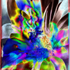 Crexis