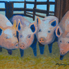 4 Little Piggies