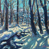 “Snowy Stream”