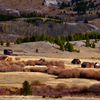 Mule Rance, Pintlar Wilderness, Western Montana