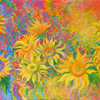 Eleven suns
