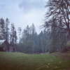 barn in mist 300