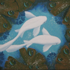 white koi