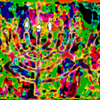 Crexis