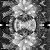 1915960907 mirror30