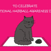 Hairballs