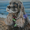 Lucy at the beach 