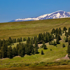 enlarge ... count the Elk 