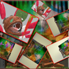 Crexis