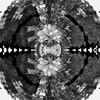 1915960907 mirror31