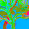 Two Trees 1