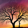 Vibrant Sunset Silhouette