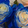 2 blue