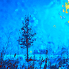 A Cold Winter's Night 