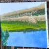 Vinha e Bouça , in progress