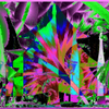 Crexis