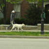 Man walking dog