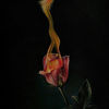 Rising-60x30cm