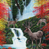 The Mystic Forest