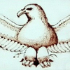 Woodburning American Eagle