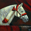  Anticipation Lipizzan