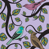 Morning Birds