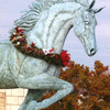 Equine Glamour