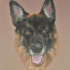 Aldo 
