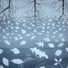 grey-koi