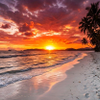 Vibrant tropical sunset glow illuminating a peaceful sandy beach with palm trees