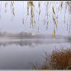 scene in fog