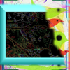 Crexis