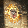 Sunny Face