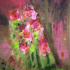 My colors 