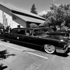 Cadillacs in Windsor