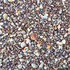 You are so spe-shell